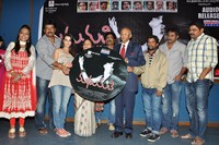 Madhumati Movie Audio Release